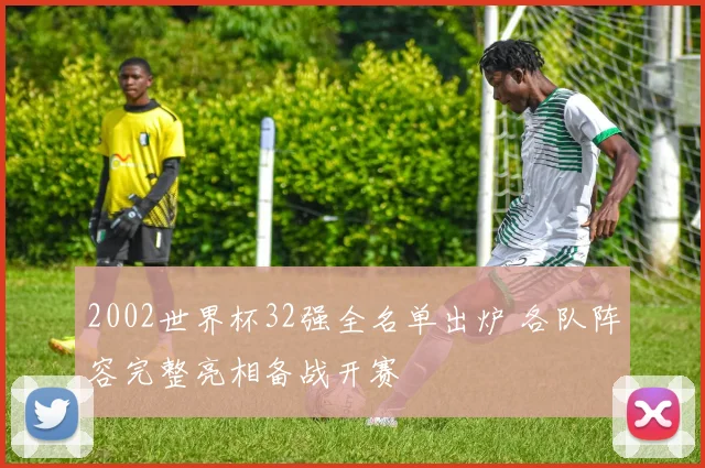 2002世界杯32强全名单出炉 各队阵容完整亮相备战开赛