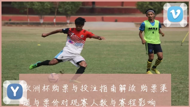 欧洲杯购票与投注指南解读 购票渠道与票价对观赛人数与赛程影响