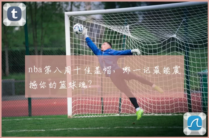 nba第八周十佳盖帽，哪一记最能震撼你的篮球魂？