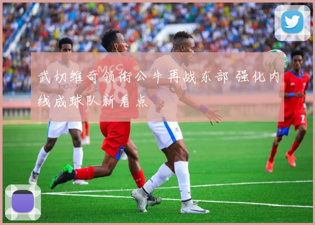 武切维奇领衔公牛再战东部 强化内线成球队新看点