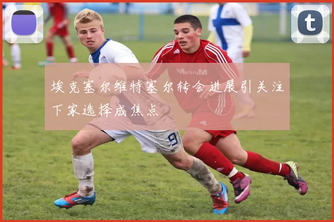 埃克塞尔维特塞尔转会进展引关注下家选择成焦点