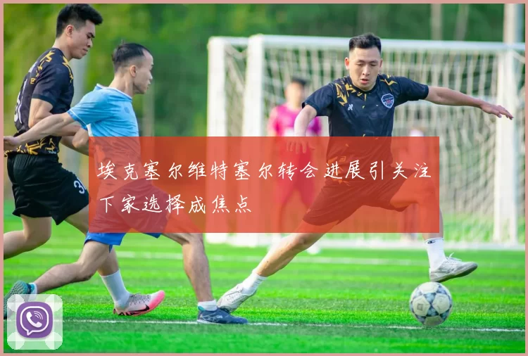 埃克塞尔维特塞尔转会进展引关注下家选择成焦点