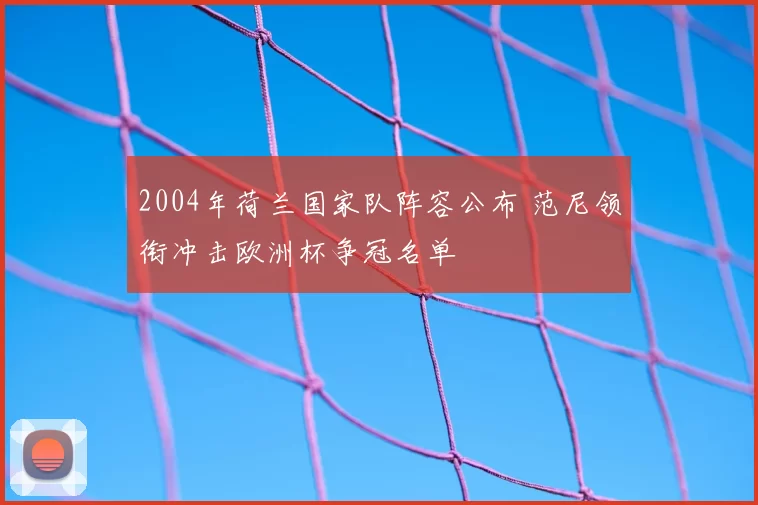 2004年荷兰国家队阵容公布 范尼领衔冲击欧洲杯争冠名单